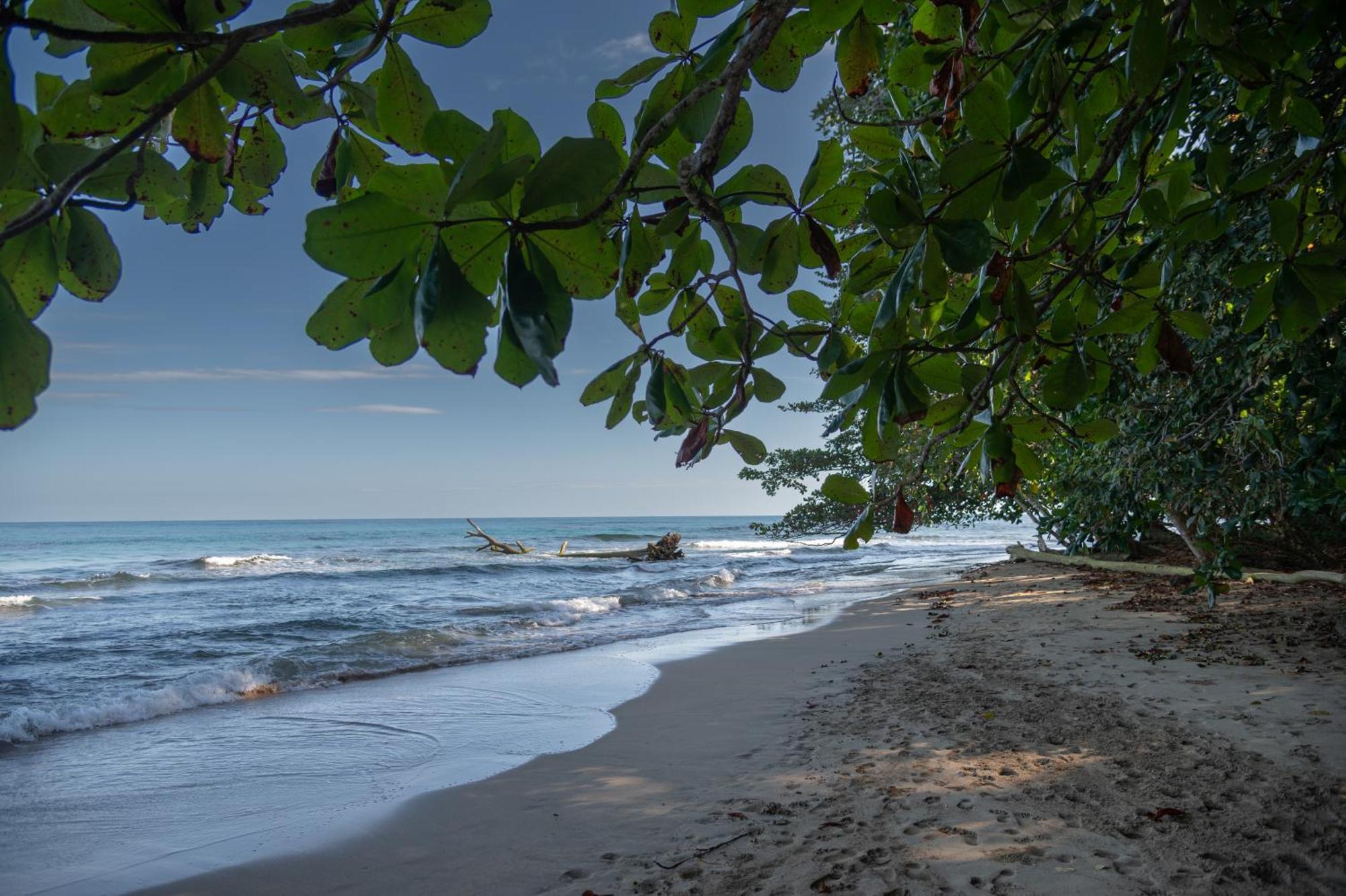 Le Cameleon Boutique Hotel Puerto Viejo de Talamanca Екстер'єр фото