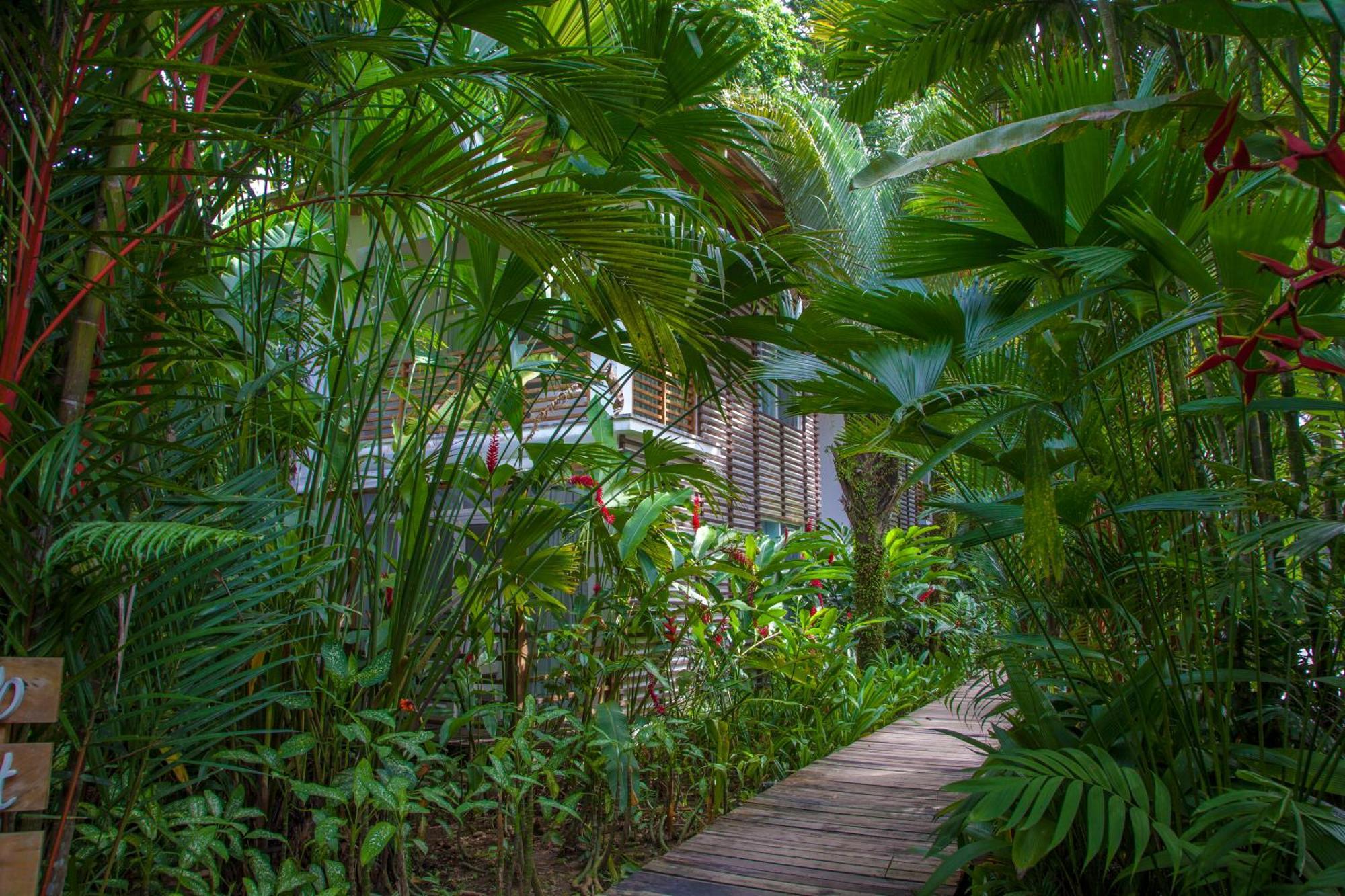 Le Cameleon Boutique Hotel Puerto Viejo de Talamanca Екстер'єр фото